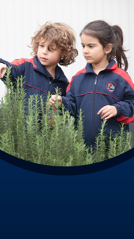 Students gardening in the school garden at St John XXIII College Stanhope Gardens