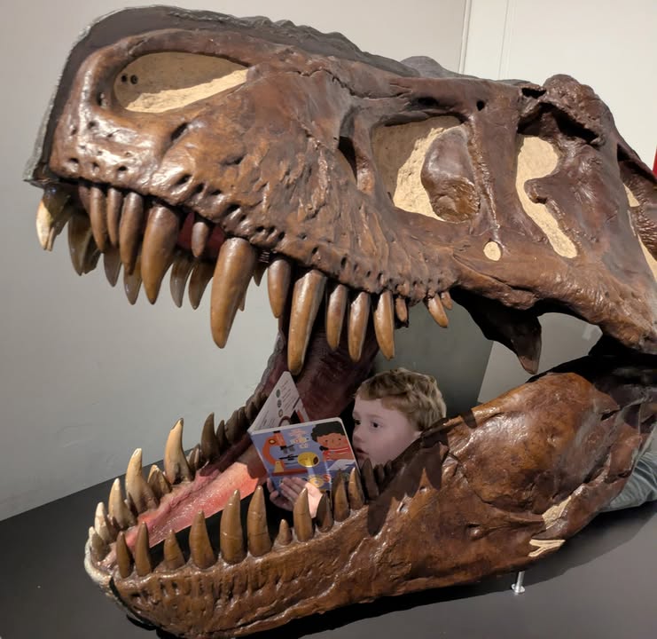 985134770284421_1301520655312496-1