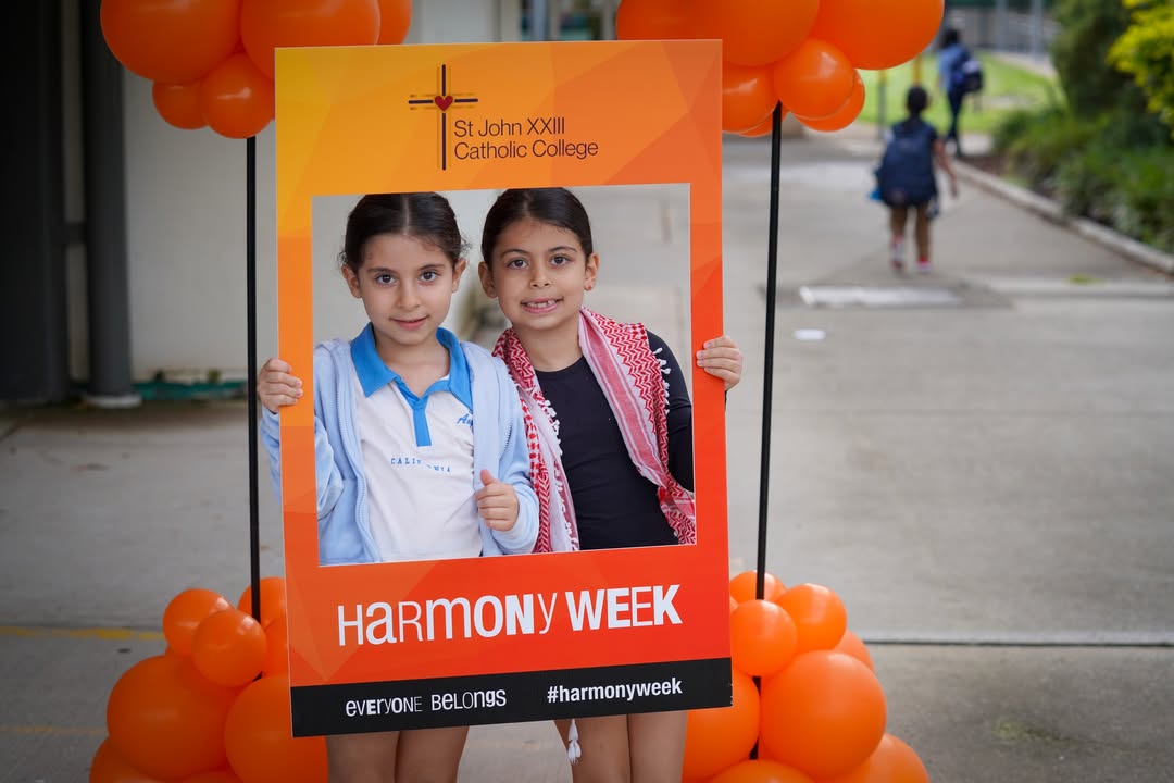 985134770284421_1526802699450956-1